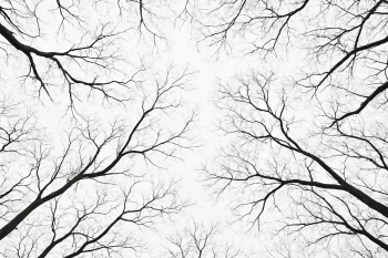 Neurons and Neuroglia