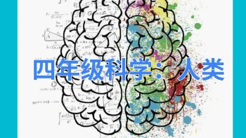 四年级科学：人类