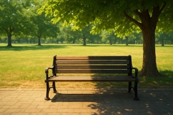 The Sun Warms the Earth