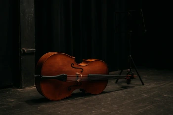 La musique et les spectacles