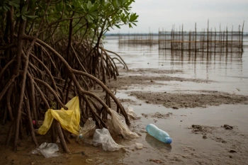 Philippine Ecosystems and Human Impacts