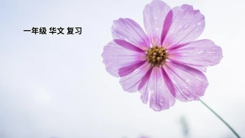 一年级华文 词汇复习
