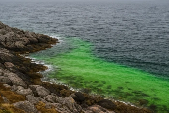 Ocean Currents and Climate
