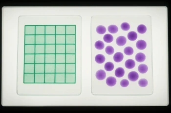 Plant Cells and Animal Cells