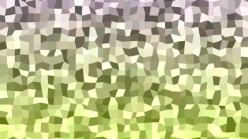 Irregular Past Simple (V2)