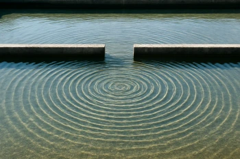 Wave-Particle Duality and Superposition