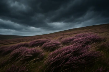 Wuthering Heights: Passion, Class and the Moors