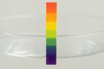 The pH Scale