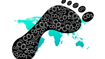 Grade 3: Digital Footprint