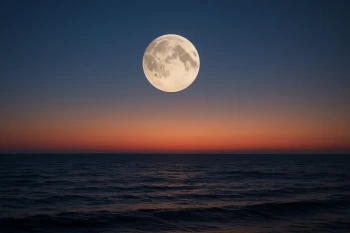 The Sun-Earth-Moon System