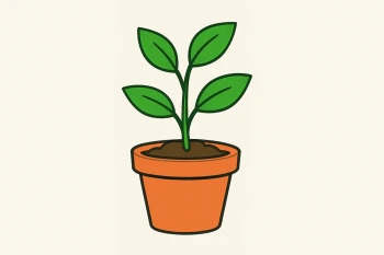What Plants Need to Grow