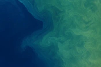Ocean Currents