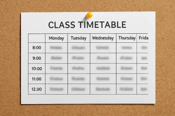 Las materias y el horario