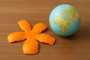 Map Projections and Distortion