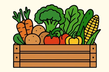 Food: Vegetables