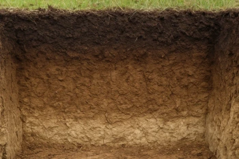 Soil and Soil Horizons