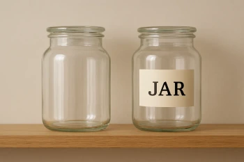 Les articles et les adjectifs : révision