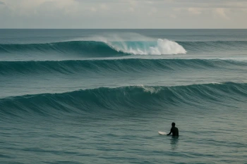 Transverse Waves
