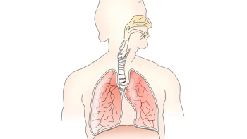 1.2 The Respiratory System