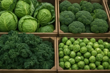 Artificial Selection and Selective Breeding