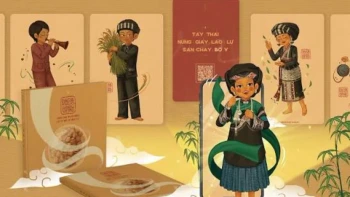 Tìm hiểu VHNT Nam Bộ