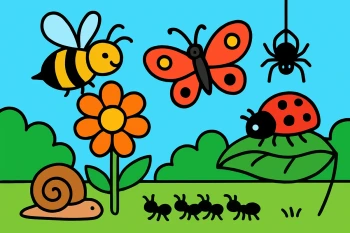 Insects and Minibeasts