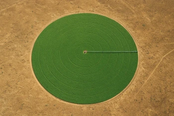Industrial and Sustainable Agriculture