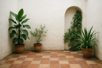La casa y los cuartos