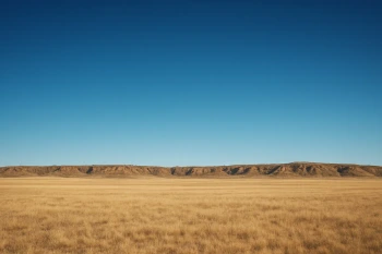 Native Americans and the Plains Wars