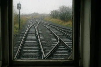 Transitions in Research Writing