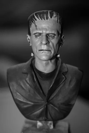 NG Inside A Frankenstein Reading Comprehension