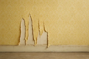 The Yellow Wallpaper