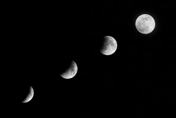 New Keystone C The Girl Who Married the Moon Vocabulary