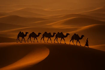 The Alchemist: The Desert and the Pyramids