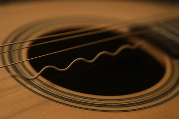 Sound: Vibration, Pitch, and Volume