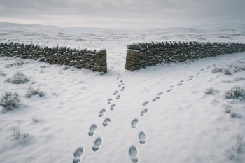 Wuthering Heights: The First Generation