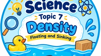 Testing quiz science year 3 floating and sinking