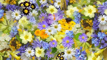 Flowering and Non-flowering Plants
