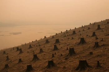 Desertification, Deforestation and Air Pollution
