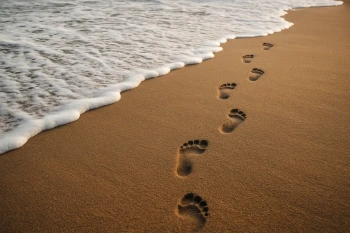 Your Digital Footprint and Privacy Settings