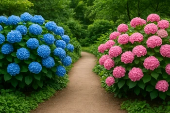 Genes, Environment and How Organisms Grow