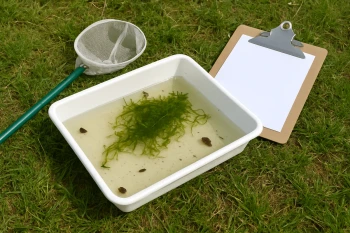 Biology EOC Review: Ecology