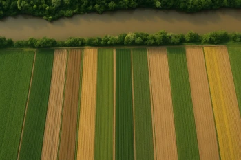 Rural Settlement Patterns and Survey Methods
